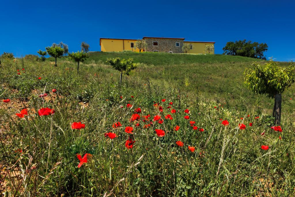 Agriturismo Poggio Mirabile Манчиано Экстерьер фото